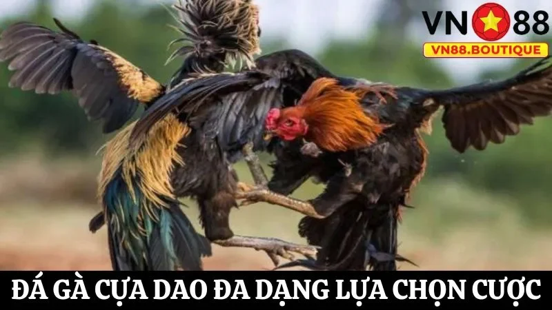 Đa dạng lựa chọn kèo cược trong đá gà cựa dao